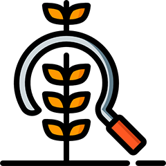 We Harvest Aloe Vera