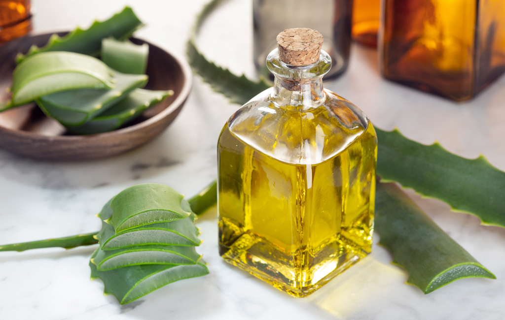 What Aloe Global Do?